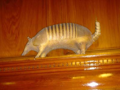 B-Armadillo