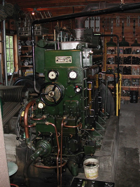 Backup Diesel Generator_resize