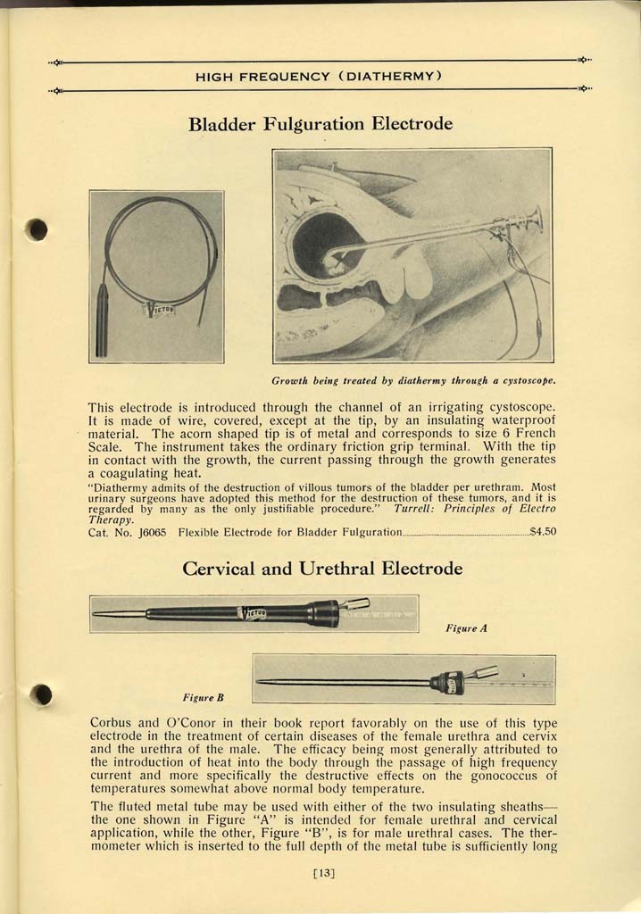 VictorRedBookofPhysicalTherapy_Page_014