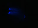 DSC00351
