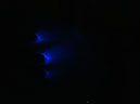 DSC00353