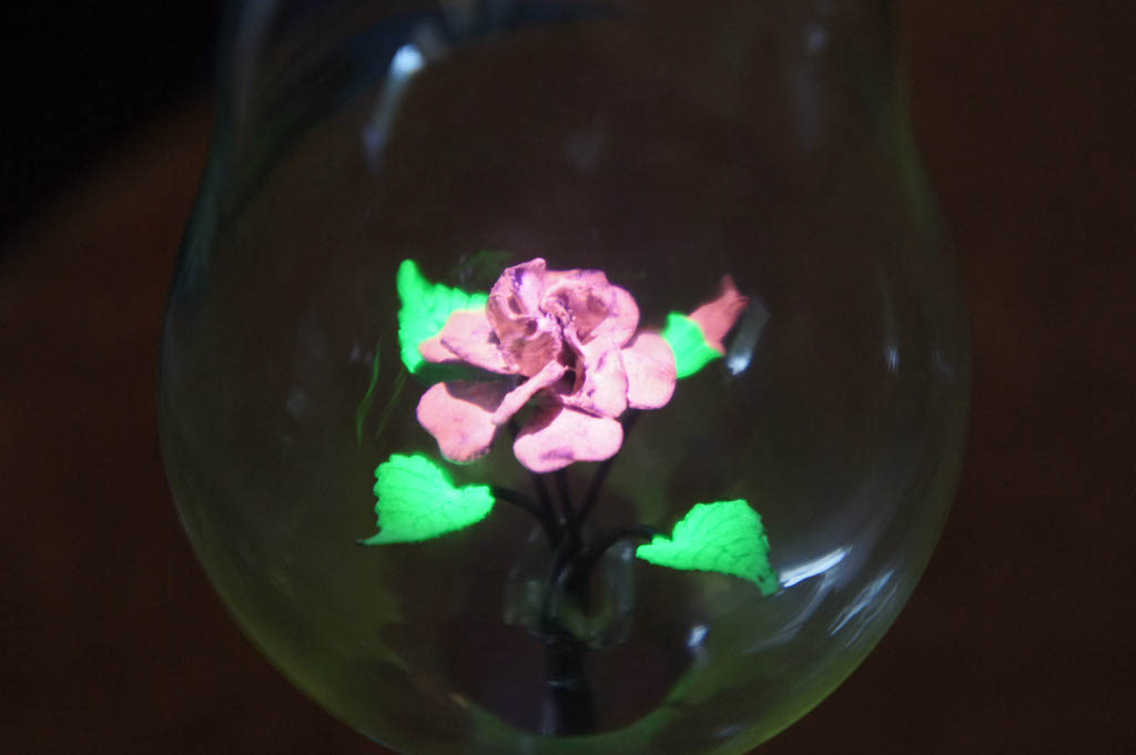 DSC00190