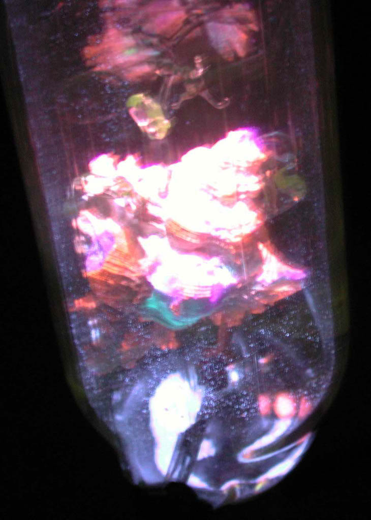 Shell5