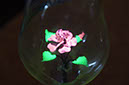 DSC00190