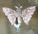 DSCN0565