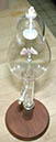 DSCN0564