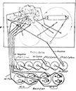 Mc Portable WP Schematic