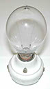 Lamp in Socket
