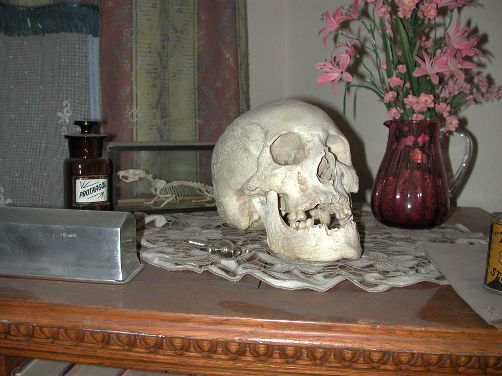 Yorick