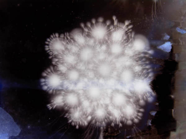 Burst3_i
