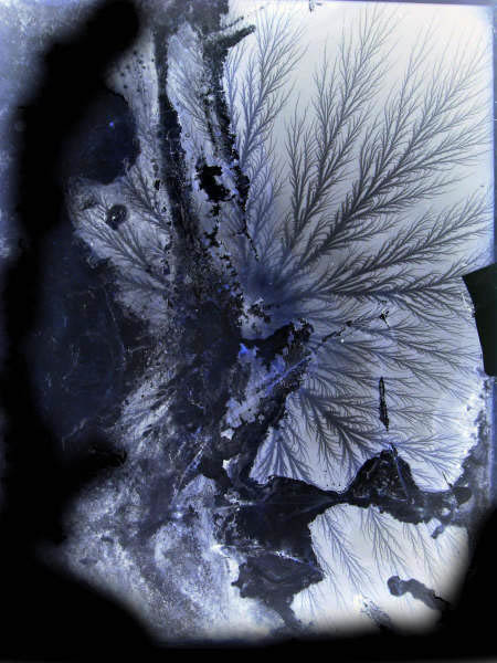 DSC01475i