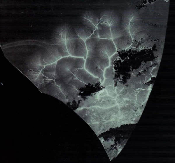 Branches2_i