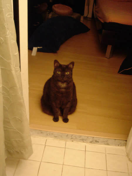 DSC01596