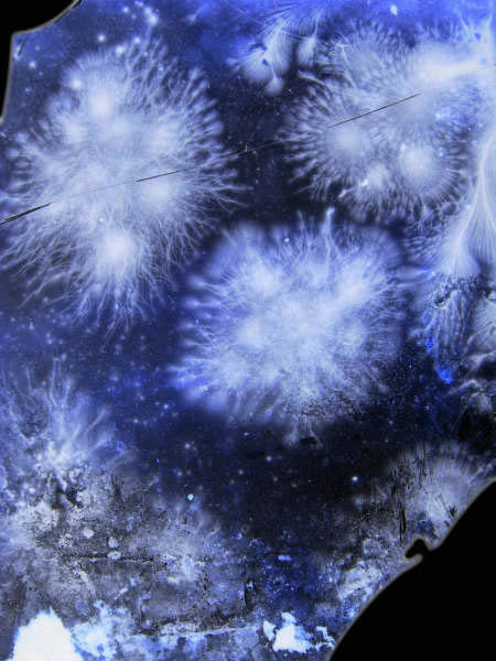 DSC01499i