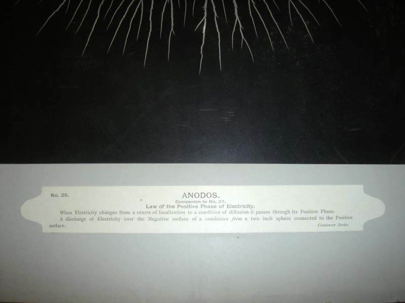 DSC08110_A