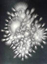 DSC08234_A