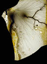 DSC01500