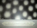 DSC08136_A