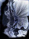 DSC01475i