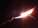 DSC01664