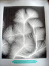 DSC08076_A