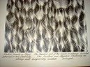 DSC08094_A
