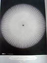 DSC08242_A