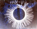 Burst1_i