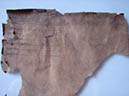 DSC01640