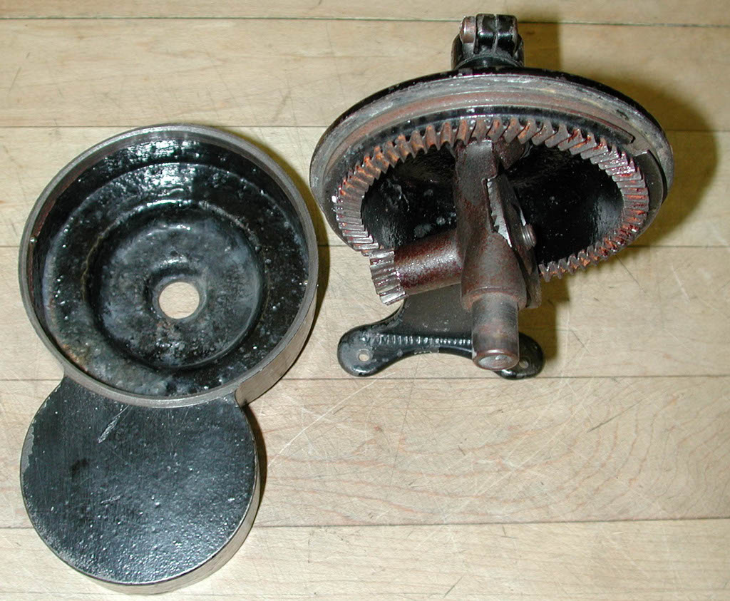 Webster Guts 1