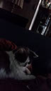 20151017_112540