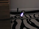 PIC00021