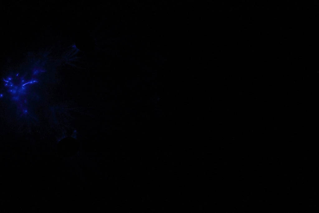 DPP_0410