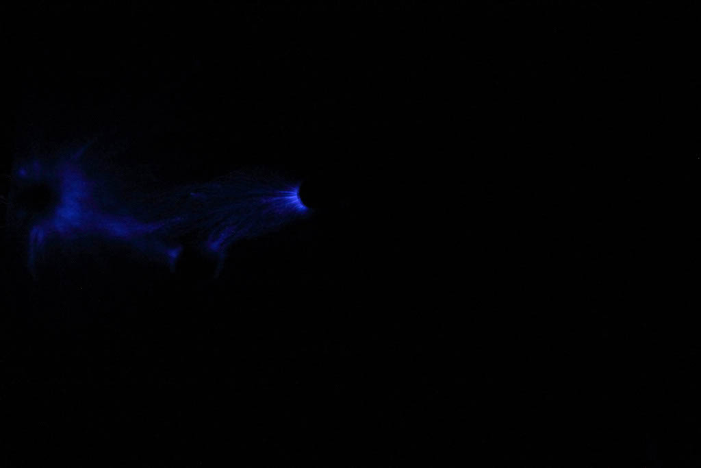 DPP_0495