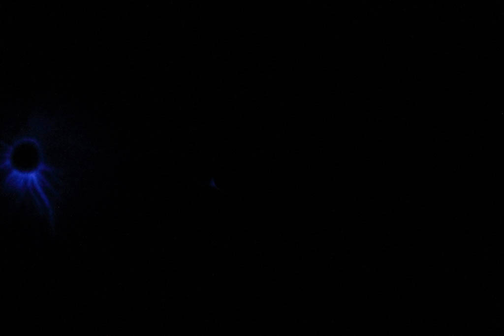 DPP_0277
