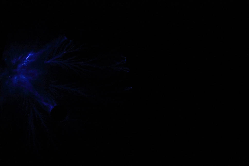 DPP_0408
