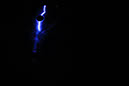 DPP_0543