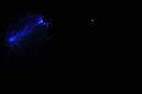 DPP_0350