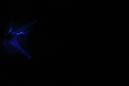 DPP_0343