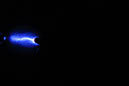 DPP_0246