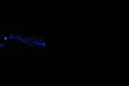 DPP_0250