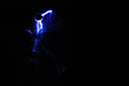 DPP_0535