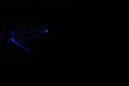 DPP_0470