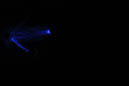 DPP_0467