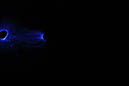 DPP_0150