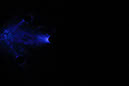 DPP_0397