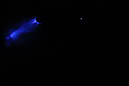 DPP_0345