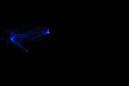 DPP_0468