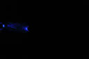 DPP_0247