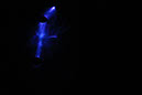 DPP_0538